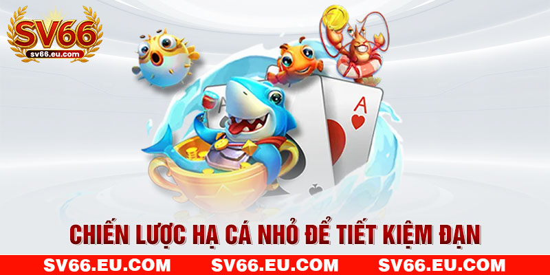 Chiến lược hạ cá nhỏ để tiết kiệm đạn