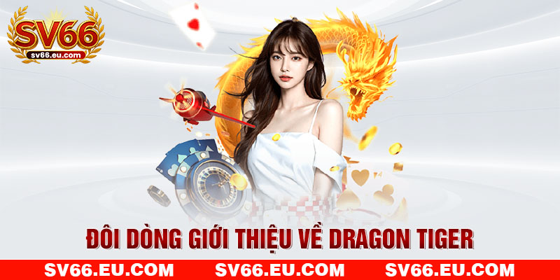 Đôi dòng giới thiệu về Dragon Tiger