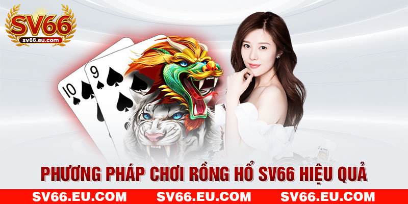 Phương pháp chơi Rồng Hổ SV66 hiệu quả